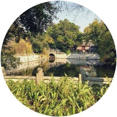 科创医药ETF华夏（588130）涨0.50%，成交额407.39万元